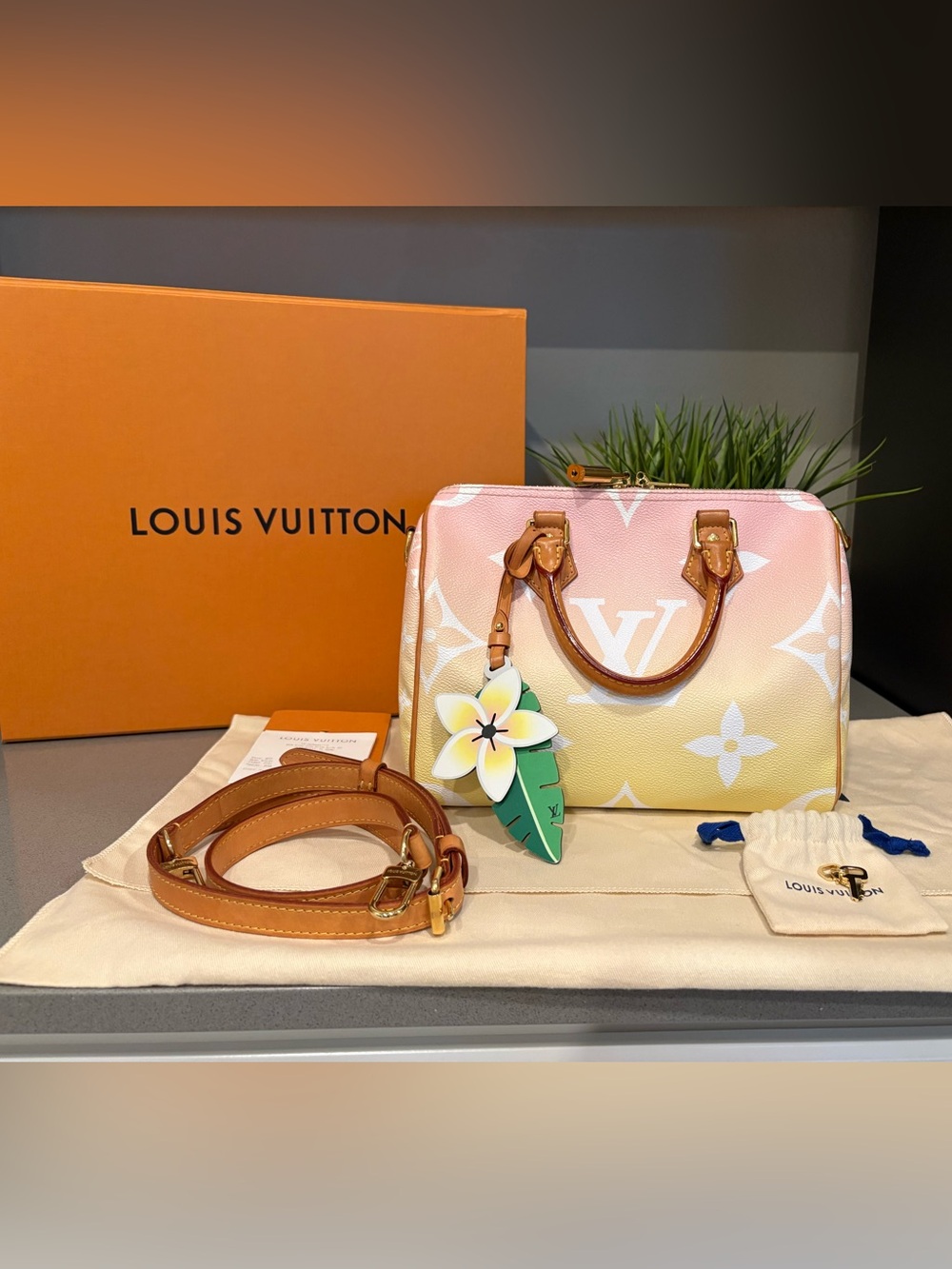 Louis Vuitton Speedy 25 Bandouliere Pool Rose M45724 ByThePool FullSet Authentic